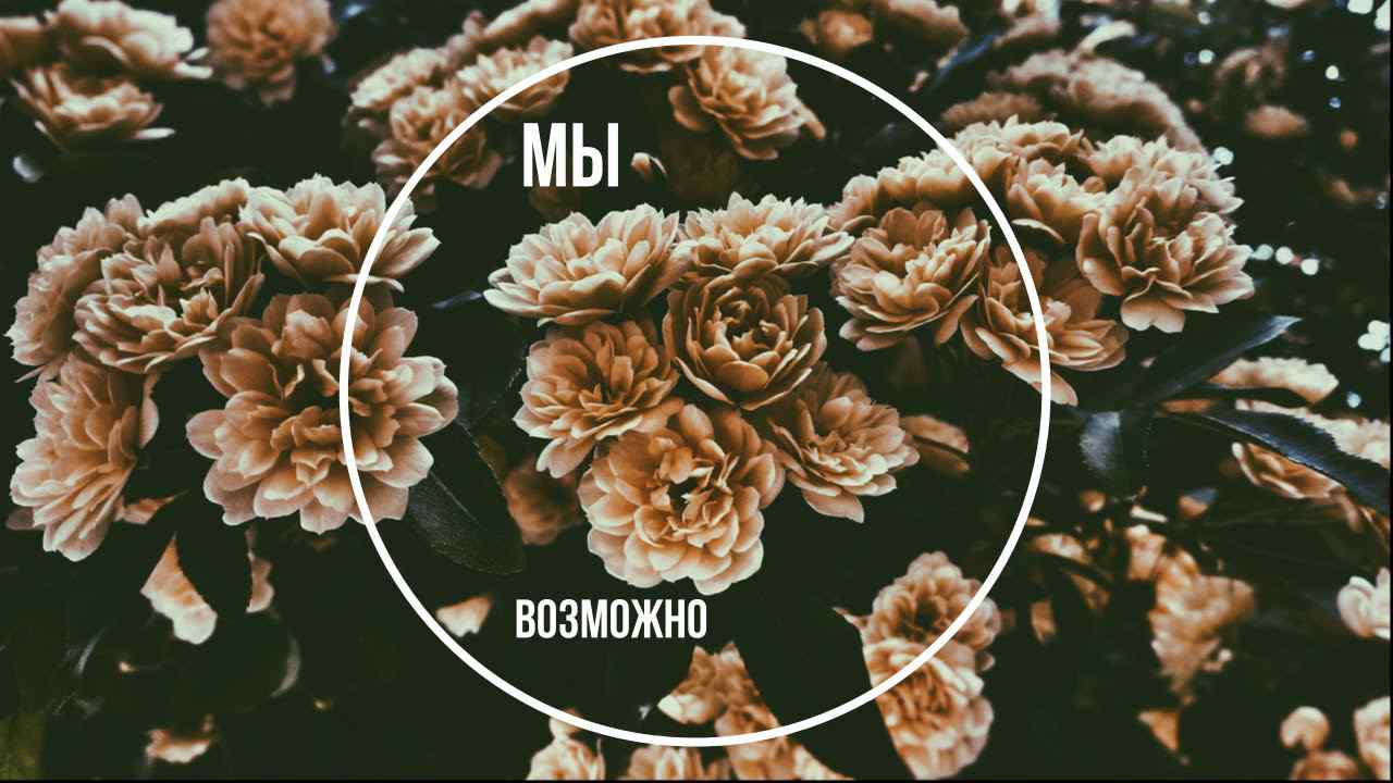 МЫ - Возможно (remix by serezhadelal)