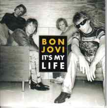 Bon Jovi - It's My Life (кавер балалайка и баян)