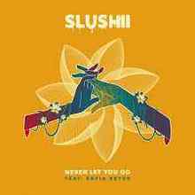 Slushii feat. Sofia Reyes - Never Let You Go