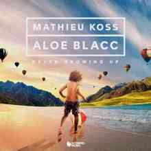 Mathieu Koss & Aloe Blacc - Never Growing Up