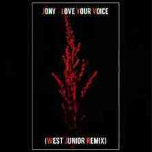 Jony - Love Your Voice