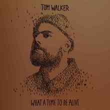 Tom Walker - Better Half of Me
