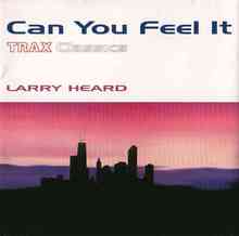 Larry Heard - Can You Feel It