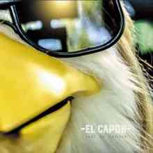 El Capon - Shut Up Chicken