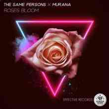 The Same Persons & Murana - Roses Bloom