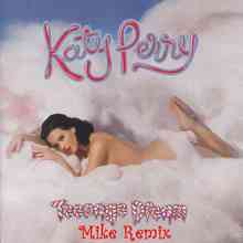 Katy Perry - Teenage Dream (Mike Remix)