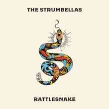 The Strumbellas - I’ll Wait