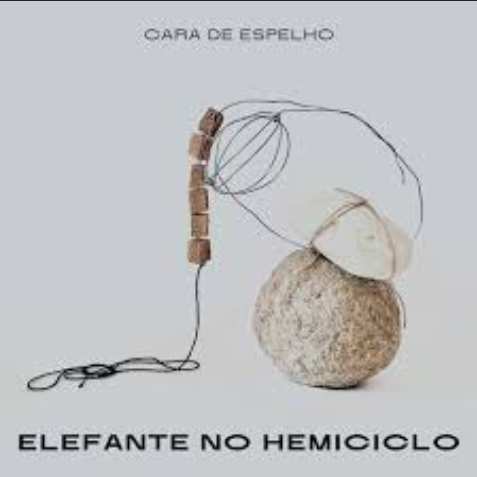 Cara de Espelho - Elefante no Hemiciclo